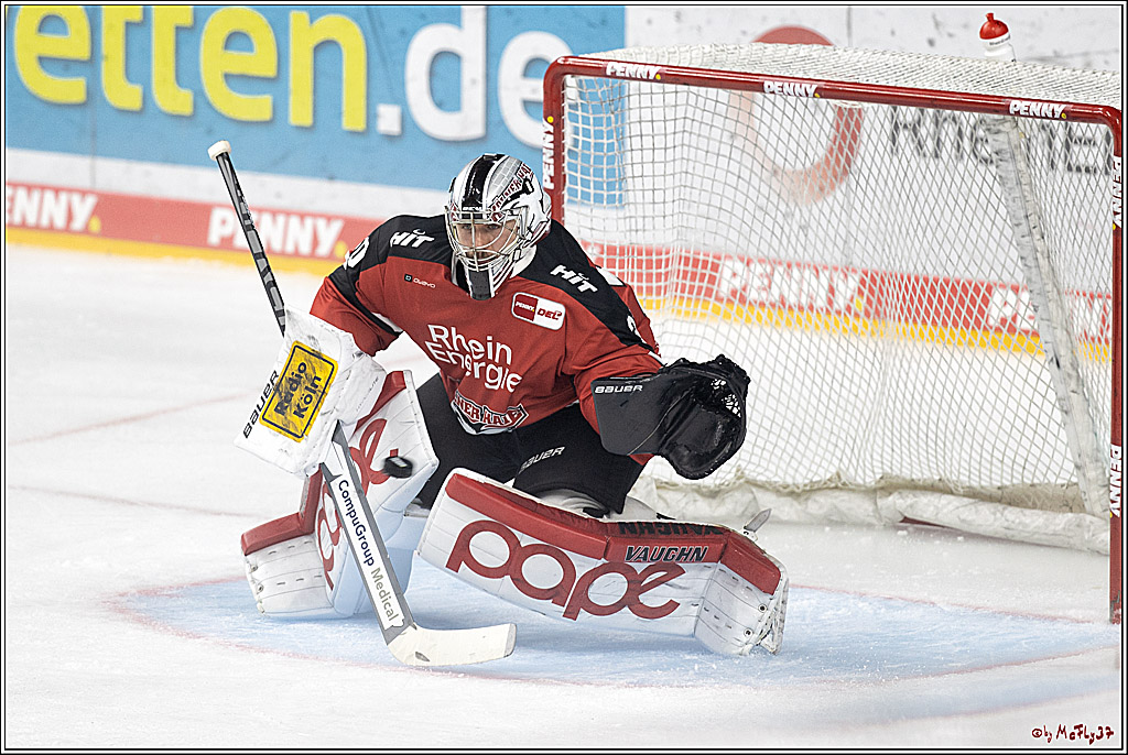 PENNY DEL;  Koelner Haie - Duesseldorfer EG; Koeln, 19.10.2021